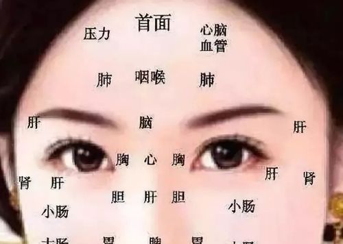 五官生克具体反映出什么