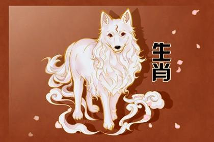 生肖属狗的女人2020年桃花运,桃花运旺,单身狗脱单在即