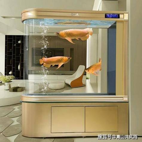 室内养鱼的风水学