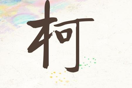 虎年柯姓男孩大气响亮的名字
