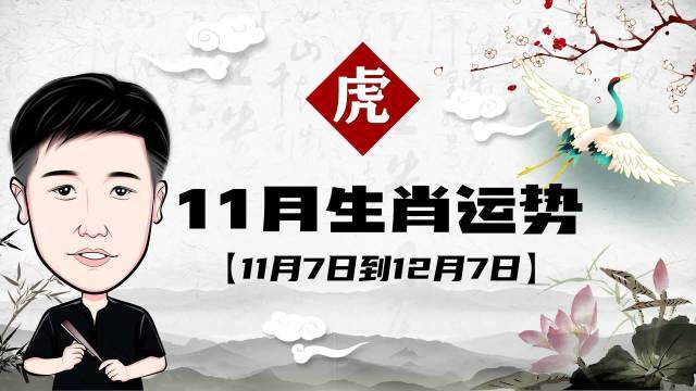 十一月虎命运怎么样