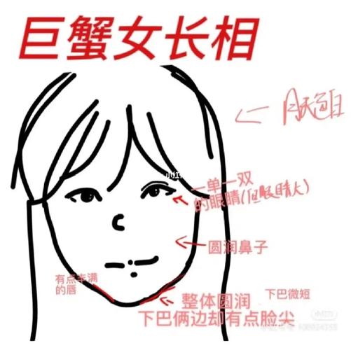 巨蟹女经常被哪些人拖后腿