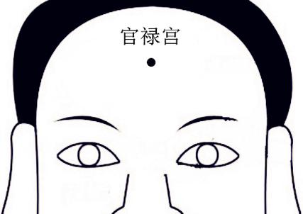 天府星坐守十二宫——官禄宫
