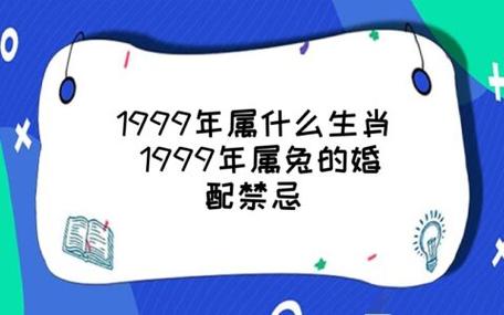 1999年兔禁忌