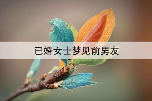 梦见女儿前男友