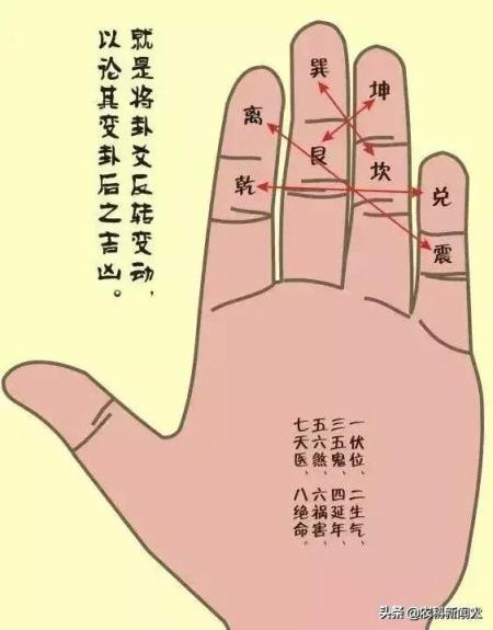 怎么看周易手相?