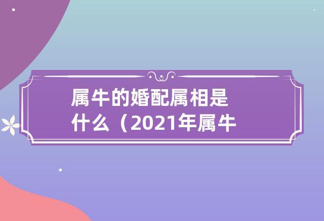 女属牛男属牛2021年结婚日子