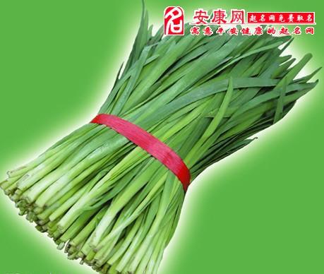 梦见很多韭菜要发财