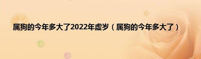 1994年出生的属狗人2021年几岁了