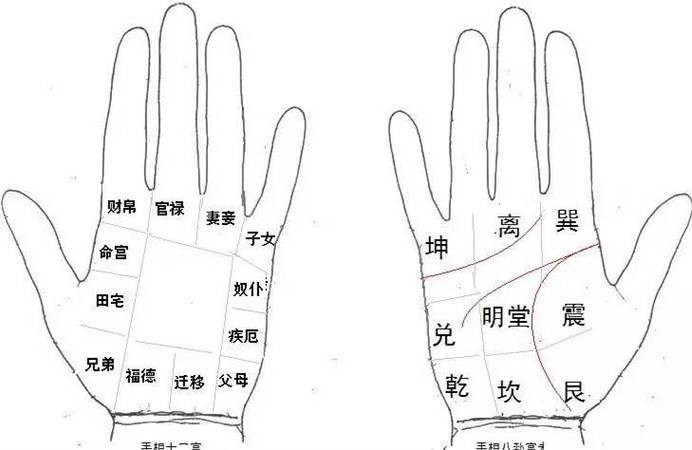 最详全的?手相十二宫划分及其解说