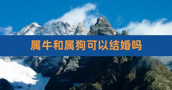 牛和狗是上等婚吗
