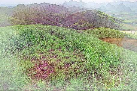 梦见郊外 郊野 周公解梦之梦到郊外 郊野
