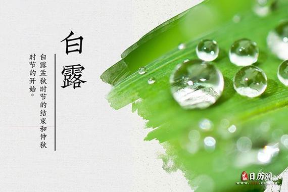 2020年白露节气出生的男宝宝缺水名字大全