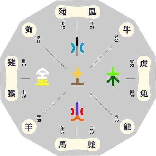 寅虎五行和性格