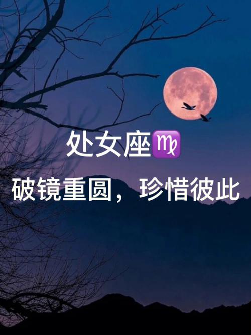 教你如何和处女座破镜重圆