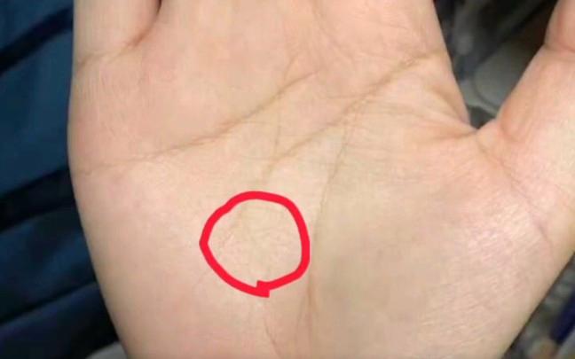 事业线浅阔适合的工作有哪些
