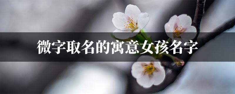 女孩叫薇什么名字好听