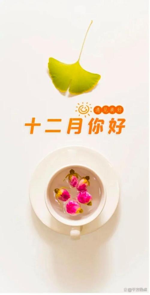 农历十二月十九