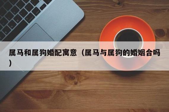 属狗和属马的婚配如何