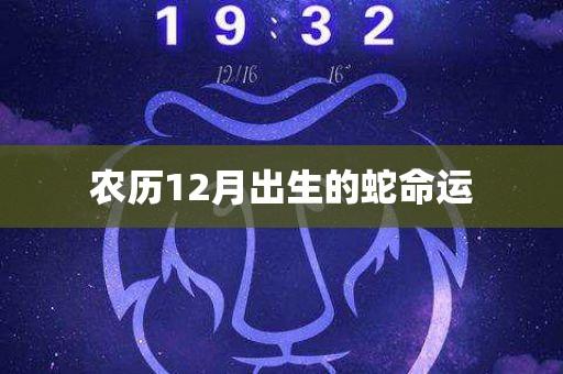 12月运势吉衰生肖蛇盘点