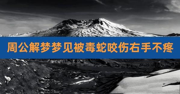 梦见咬蛇