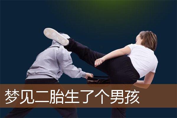 梦见自己二胎又是男孩预示着什么