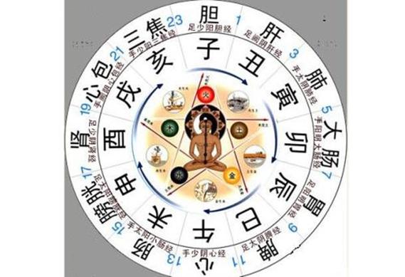 全面解析:巳时出生的人命运如何