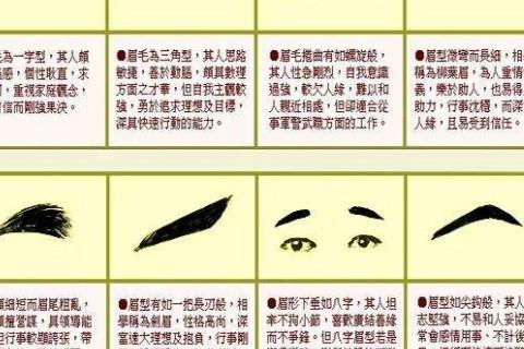 眉毛看相算命图解了解哪些眉毛最招财
