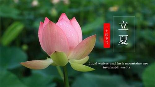 2020年立夏出生的女孩好吗?立夏的含义是什么意思?