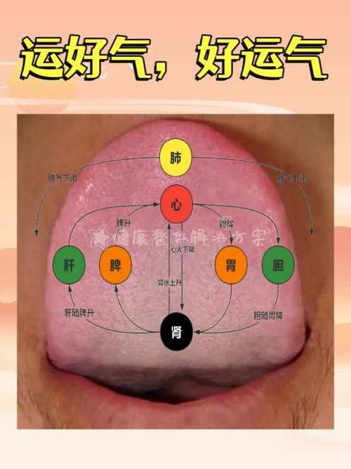 如何从舌头看人生运势