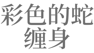 梦见彩蛇