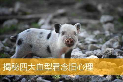 血型君铭心刻骨的失败回忆