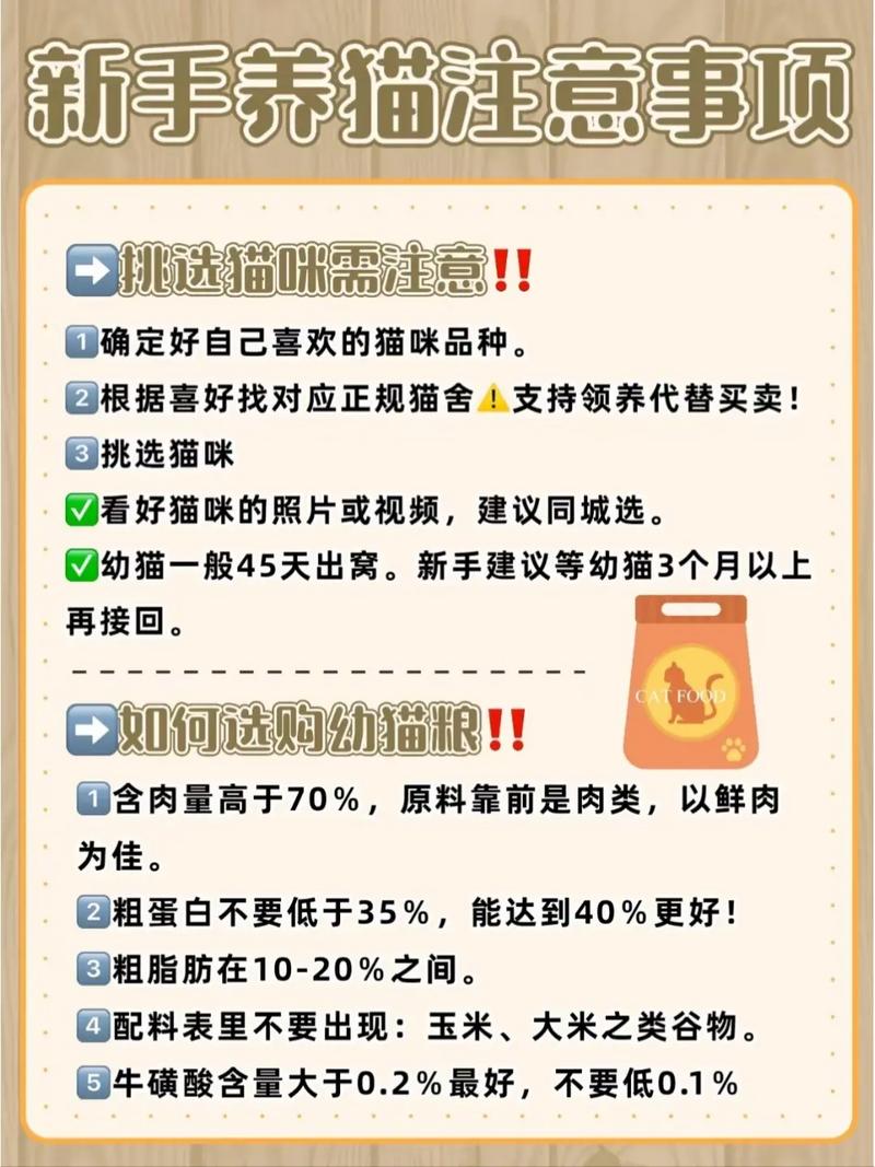 适合养猫的生肖