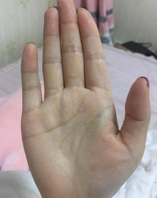 桃花不断的手相