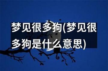周公解梦梦见很多狗