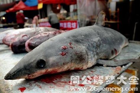 梦见一条大鱼被杀分解