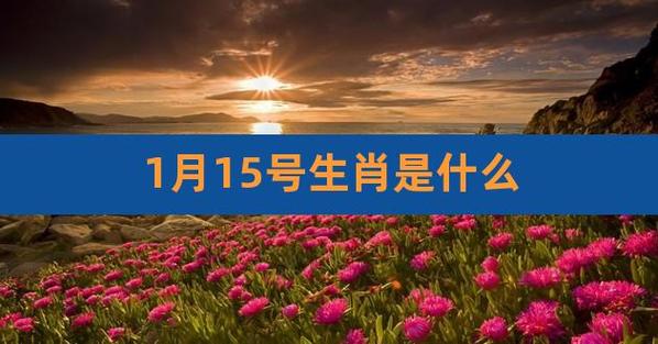 十二生肖运势天天看,明日运势:6月15日