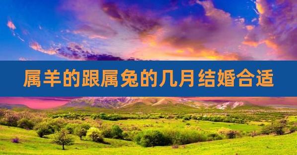 生肖属兔和生肖属羊2021年几月结婚好呢?