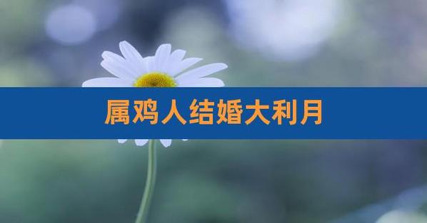 属鸡的和属猴的可以在2021年结婚吗?几月份结婚最好?
