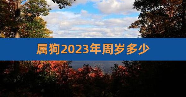 属狗者2023年4月最吉利楼层