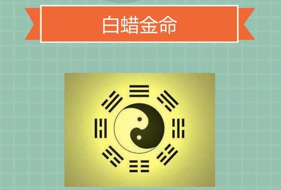 白蜡金命在哪一年出生