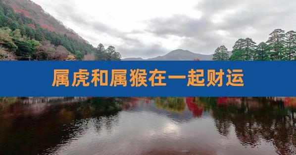 属猴遇上属虎财运如何