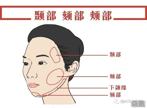 下颚相学详解