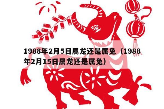 1988年2月5日属龙还是属兔