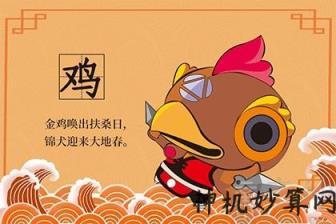 男女都属鸡相配吗?会鸡飞蛋打吗?