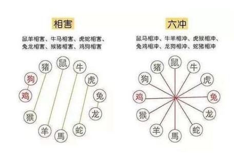 在线测字,属相看什么人最有将会发大财