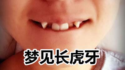 梦见长虎牙