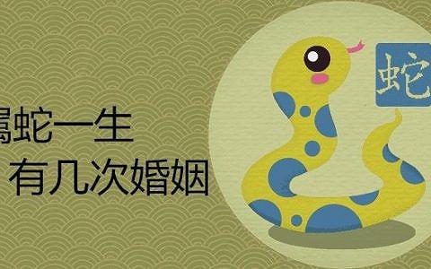 12生肖婚配中龙和蛇相配吗