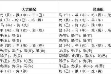2021年生肖虎男女婚配禁忌