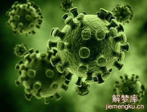 梦见细菌怎么回事